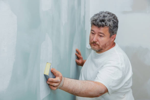 Professional Mold Removal in Pemberton Heights, NJ